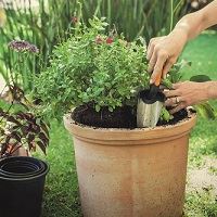 Unelte pentru plantat si cultivat
