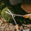 Foarfeca pentru gard viu Fiskars PowerLever HS52, 588 mm, 630g