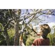 Foarfeca pas cu pas pentru ramuri groase Fiskars PowerGear X LX94, M