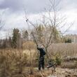 Foarfeca telescopica pentru pomi Fiskars UPX86, 5.5 m