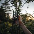 Foarfeca pas cu pas Fiskars Plus (P721)