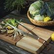 Cleste pentru gratar, Fiskars Norden