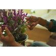 Forfecuta pentru plante cu suport Fiskars Plant care