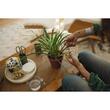 Forfecuta pentru plante cu suport Fiskars Plant care