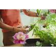 Foarfeca pentru plante cu suport Fiskars Plant care