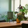 Sistem de udare Fiskars Plant care