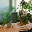 Sistem de udare Fiskars Plant care