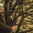 Foarfeca pas cu pas pentru ramuri groase Fiskars PowerGearTM  L72, S