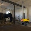 Incalzitor cu motorina Master, BV170E, ardere indirecta 47 kW 1800 m3/h