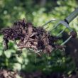 Furca pentru compost Fiskars Xact, 1200 mm, 1570 g