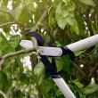 Foarfeca pas cu pas pentru ramuri groase Fiskars PowerGear X LX94, M