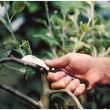 Cosor Fiskars K62, 170 mm, 50 g