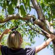 Foarfeca pas cu pas pentru ramuri groase Fiskars PowerGear X LX94, M